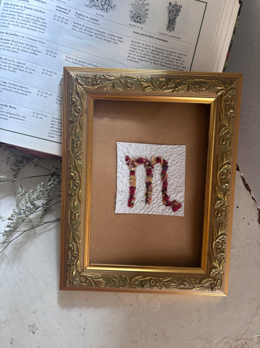 Scorpion ♏️- Signe du zodiaque en fleurs pressées