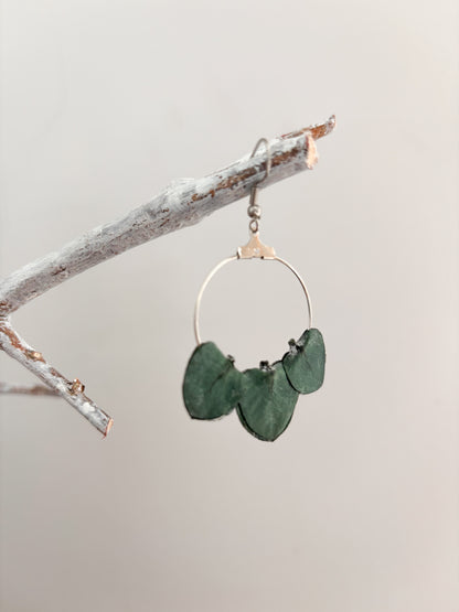 | Boucles d’oreilles en fleurs stabilisées