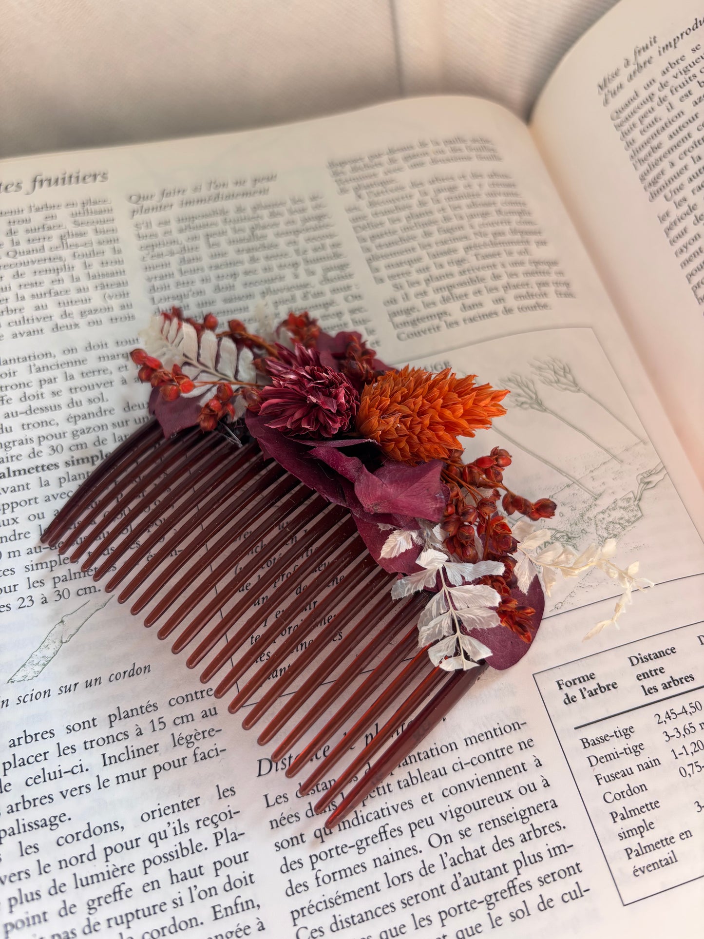 | Peigne Paula | #2007