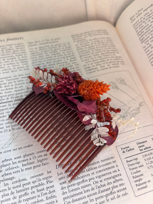 | Peigne Paula | #2007