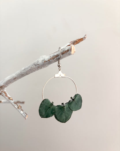 | Boucles d’oreilles en fleurs stabilisées